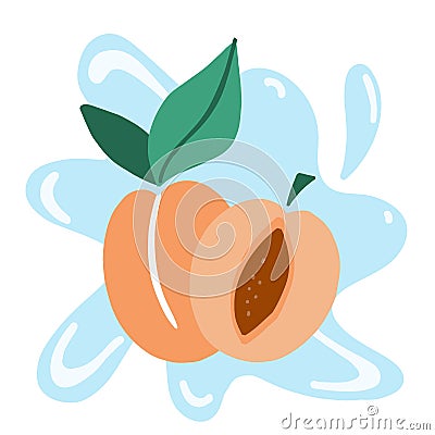 Apricot. Exotic tropical peaches or apricots fresh fruit. Whole and half juicy peach on blue background. Vector cartoon Vector Illustration