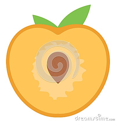 Apricot, food Isolated Color Vector Icon that can be easily modified or edit. Stock Photo