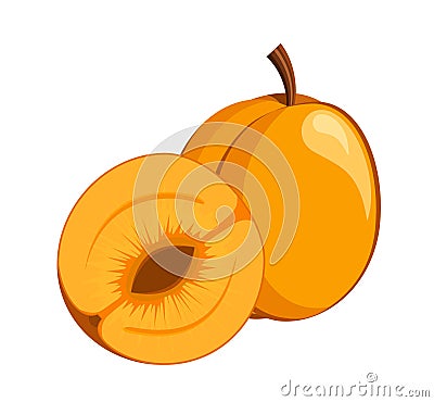 Apricot icon Vector Illustration