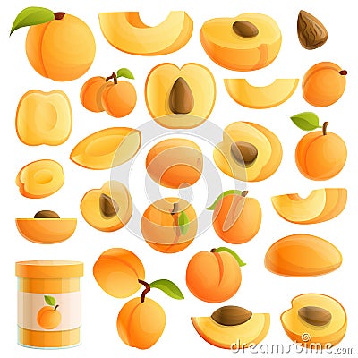 Apricot icons set, cartoon style Vector Illustration