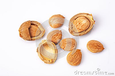 Apricot kernel isolated on white background. Ecologic food. Stock Photo