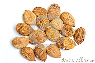 Apricot kernel Stock Photo