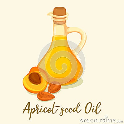 Apricot oil and sliced fruit.Drink in glass bottle Vector Illustration