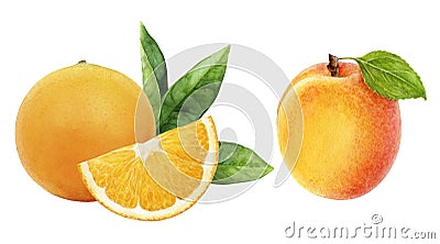 Apricot orange set composition watercolor isolated on white background Cartoon Illustration