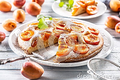 Apricot pie on a white plate, apricots, mint and powdered sugar on the kitchen table Stock Photo