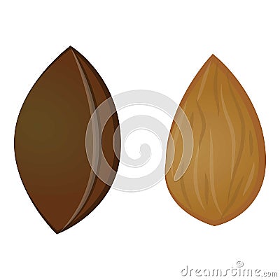 Apricot seed icon cartoon vector. Cut fruit Vector Illustration