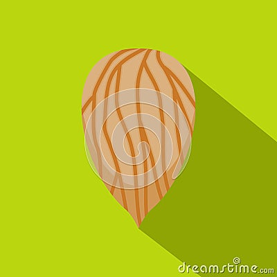 Apricot seed icon, flat style Vector Illustration