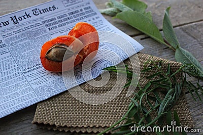 Apricot , tree, newspaper, leaves, ship, bottle, cloth Stock Photo