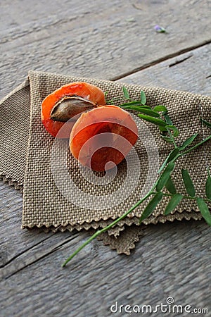 Apricot , tree, newspaper, leaves, ship, bottle, cloth Stock Photo