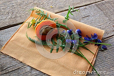 Apricot , tree, newspaper, leaves, ship, bottle, cloth Stock Photo