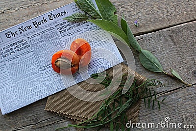 Apricot , tree, newspaper, leaves, ship, bottle, cloth Stock Photo