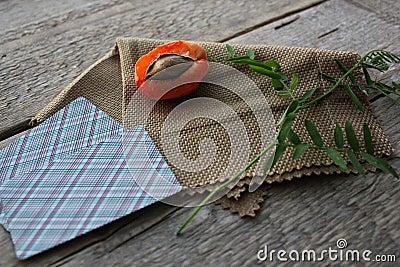 Apricot , tree, newspaper, leaves, ship, bottle, cloth Stock Photo