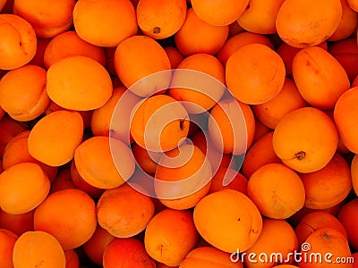 Apricots Stock Photo