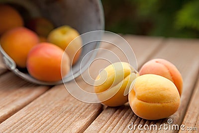 Apricots Stock Photo