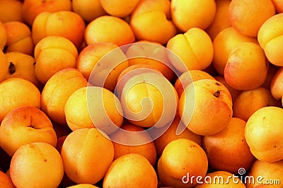 Apricots Stock Photo