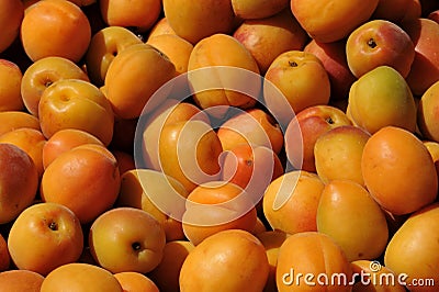 Apricots Stock Photo