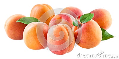 Apricots. Group of ripe fruits isolated on white Stock Photo