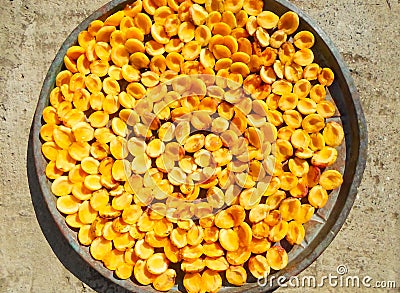 Apricots in half in the sun for dried apricots. a lot of dried apricots in a large plate in the sun Stock Photo