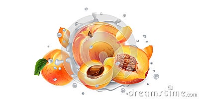 Apricots and peaches in splashes of yogurt or milk. Cartoon Illustration