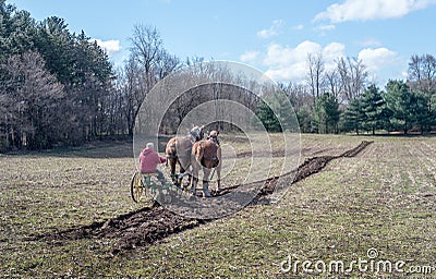 Farmer with plow horses in a field Editorial Stock Photo