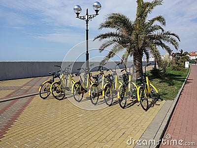 April 16, 2020 Russia. Sochi // Bicycle rental on the promenade of Sochi Editorial Stock Photo