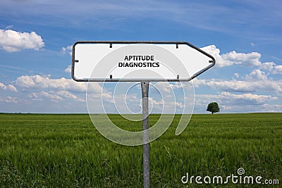 APTITUDE DIAGNOSTICS - image with words associated with the topic RECRUITING, word, image, illustration Cartoon Illustration