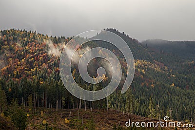 Apuseni landscape Stock Photo