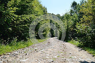 Apuseni mountains Stock Photo