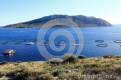 Aquaculture settlement, fish farm with floating circle cages Stock Photo