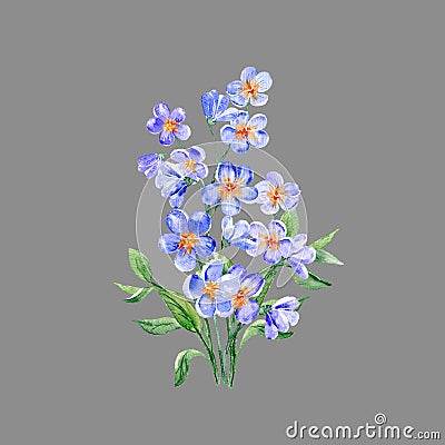 Aquarelle painted meadow flowers bouquet Cartoon Illustration