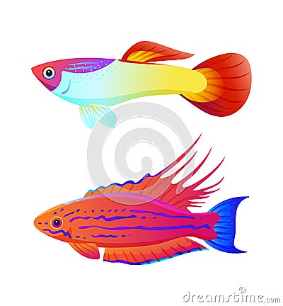Aquaria Guppy and Swordtail Fish Inhabitant Poster Vector Illustration
