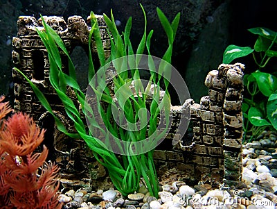 Aquarium Stock Photo