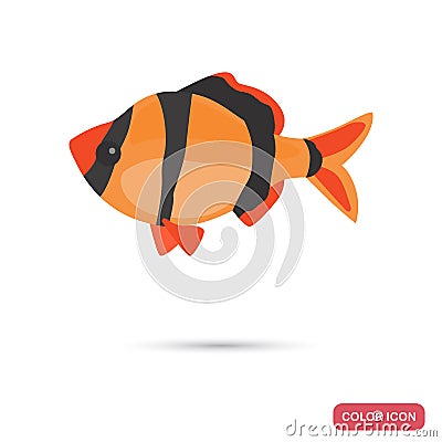 Aquarium barb fish color flat icon Vector Illustration