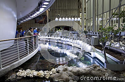 Aquarium in California Academy of Sciences Editorial Stock Photo