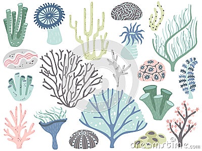 Aquarium corals and seaweed. Marine ocean coral flora, decor underwater seaweeds and different water plants cartoon Vector Illustration