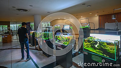 Aquarium decorations for sale in Bangkok, Thailand Editorial Stock Photo