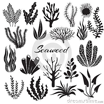 Aquarium seaweeds. Underwater plants, ocean planting. Vector seaweed black silhouette isolated set Vector Illustration