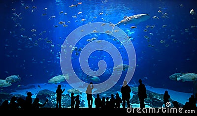 Aquarium silhouettes Stock Photo