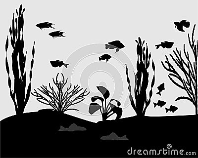 Aquarium Vector Illustration