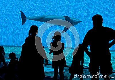 Aquarium Spectator Silhouettes Stock Photo