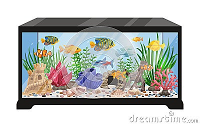 Aquarium Tank Cartoon Illustration Vector Illustration