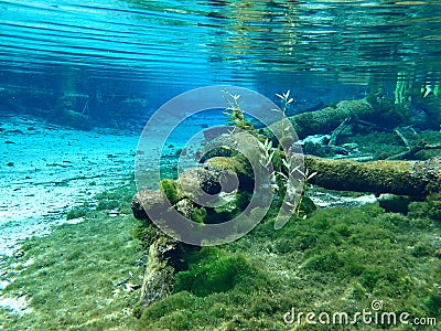 Aquascape Stock Photo