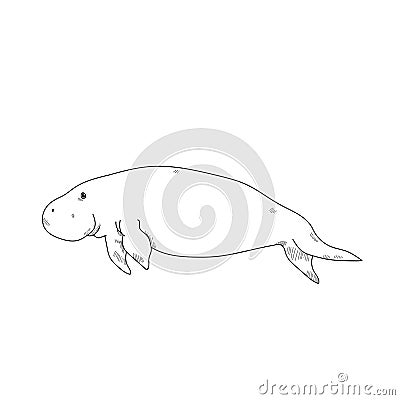 Aquatic Animals Dugong Drawing Illustration. Stock Photo