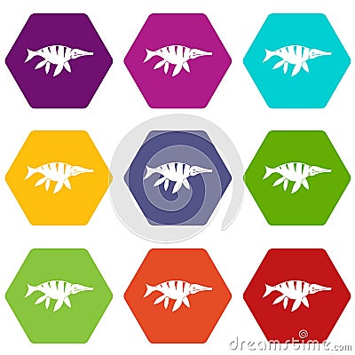 Aquatic dinosaur icon set color hexahedron Vector Illustration