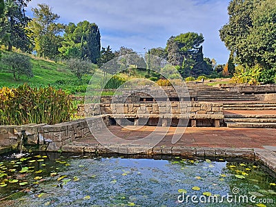 Aquatic plants and stone stairs Stock Photo