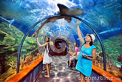 Aquatic Tunnel In The Loro Parque, Tenerife Editorial Stock Image ...