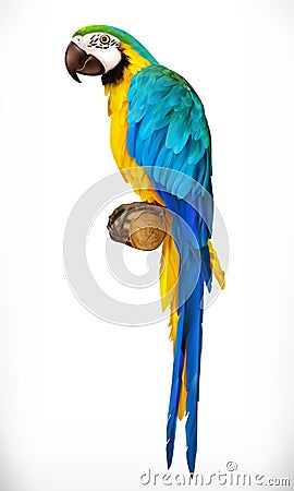 Ara parrot. Macaw. 3d vector icon Vector Illustration