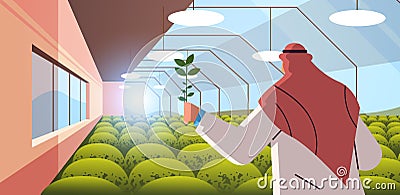 arab agricultural engineer researching plant in greenhouse agriculture scientist smart farming concept Vector Illustration