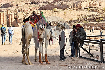 Arab bedouin guides with camels in the ancient city of Petra Editorial Stock Photo