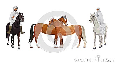 Arab man and woman on horseback Vector Illustration